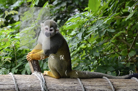 車泡水保險(xiǎn)公司怎么賠償(車泡水保險(xiǎn)公司怎么賠償,陪了車歸誰(shuí))