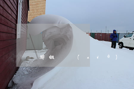 車牌租賃協(xié)議