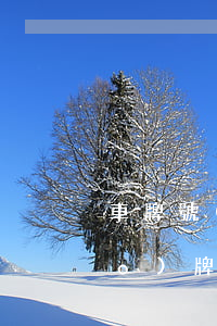 車牌號(hào)可以繼承嗎(汽車號(hào)牌可以繼承嗎)