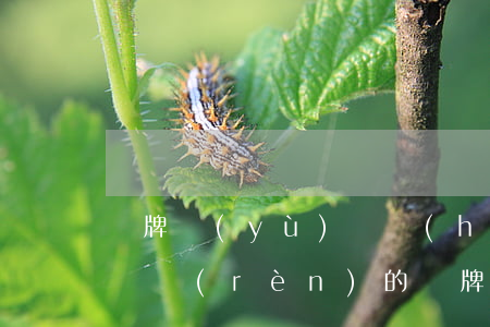 車牌預(yù)選號(hào)逾期(逾期未確認(rèn)的車牌能自編選號(hào)嗎)