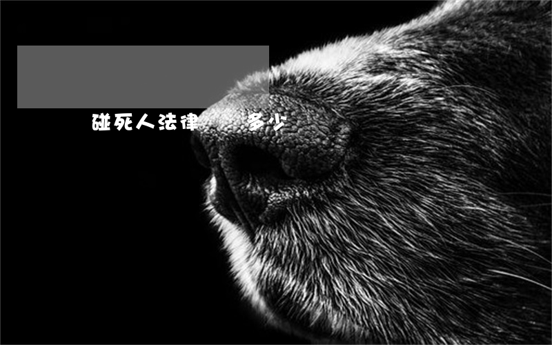 車碰死人法律賠償多少