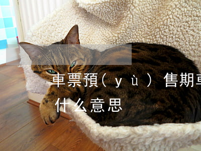車票預(yù)售期(車票預(yù)售期是什么意思)