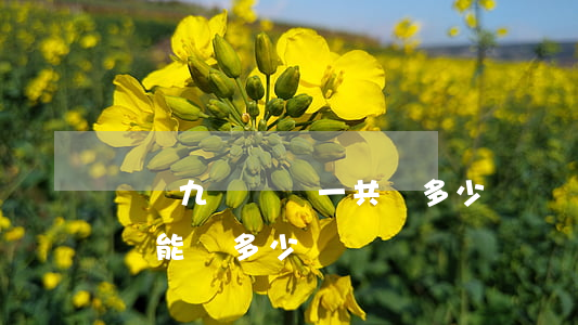 車禍九級傷殘一共賠多少錢(請問車禍9級傷殘能賠多少錢)