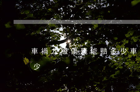車禍九級傷殘能賠多少(車禍致殘九級該賠多少)