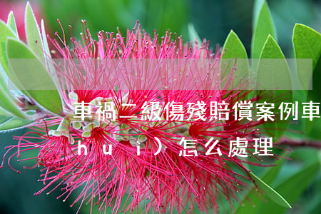 車禍二級傷殘賠償案例(車禍致重傷二級會(huì)怎么處理)