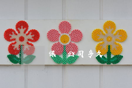 車禍保險公司多久賠償