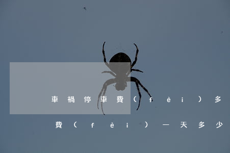 車禍停車費(fèi)多少錢一天(事故停車費(fèi)一天多少錢)