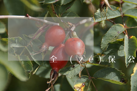 車禍全責(zé)保險公司怎么賠自己要賠錢嗎
