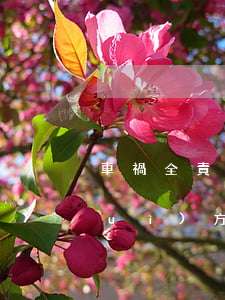 車禍全責(zé)如何賠償，出車禍了對(duì)方全責(zé)怎么賠償