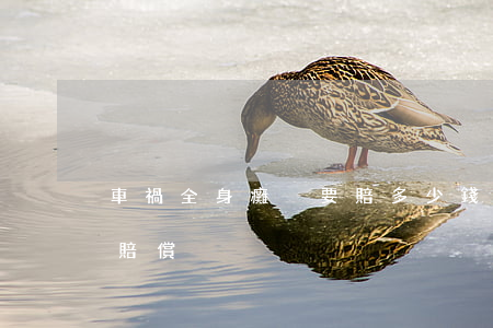 車禍全身癱瘓要賠多少錢(交通事故癱瘓大概賠償)