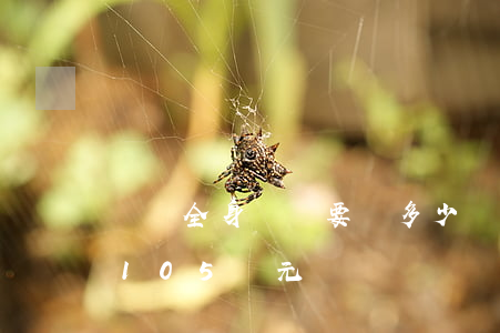 車禍全身癱瘓要賠多少錢(車禍癱瘓賠償金額105萬元)