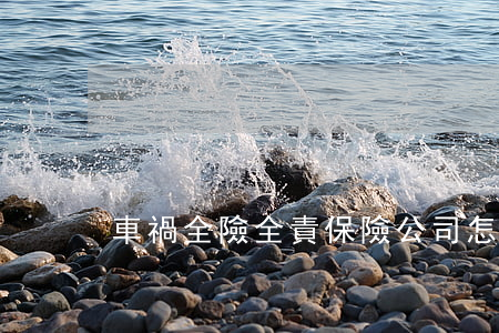 車禍全險全責保險公司怎么賠償傷者