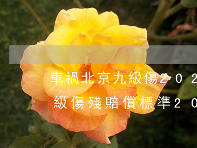 車禍北京九級傷20220年殘賠多少錢(九級傷殘賠償標準2020多少錢大概車禍)