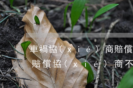 車禍協(xié)商賠償還是起訴(交通事故賠償協(xié)商不成怎么辦)