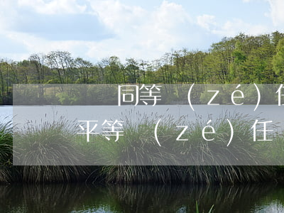 車禍同等責(zé)任一般賠償多少錢(車禍平等責(zé)任賠償)