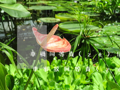 車禍同等責(zé)任保險公司怎么賠償(汽車事故同等責(zé)任理賠)