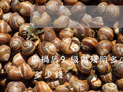 車禍后9級傷殘陪多少錢(車禍評殘九級賠償多少錢)
