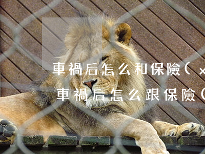 車禍后怎么和保險(xiǎn)公司談賠償(車禍后怎么跟保險(xiǎn)談理賠)