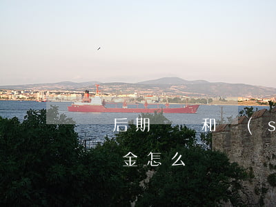 車禍后期賠償和誰(shuí)談(一般車禍賠償金怎么談)