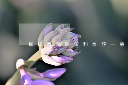 車禍后期賠償和誰談(一般車禍賠償金怎么談)
