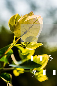 車禍后車報廢對方全責(zé)怎樣爭取更多賠償(由于對方責(zé)任導(dǎo)致車輛報廢怎么賠償)