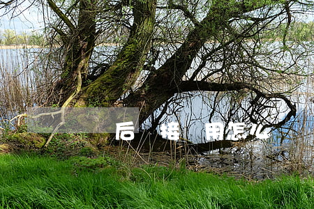 車禍后間接費用怎么賠償(車禍后交通費賠償標準)
