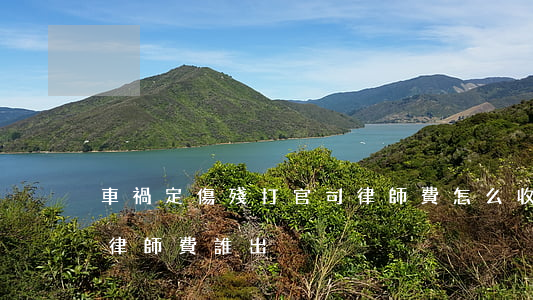車禍定傷殘打官司律師費怎么收(車禍打官司律師費誰出)