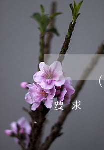 車禍對(duì)方不是全責(zé)可以要求對(duì)方賠償什么(車輛事故對(duì)方全責(zé)可以要求什么賠償)
