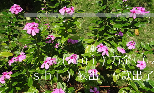 車禍對(duì)方全責(zé)什么時(shí)候出賠償款(出了車禍對(duì)方全責(zé)可以要求哪些賠償?)