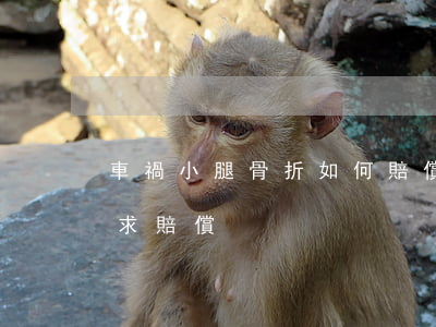 車禍小腿骨折如何賠償，車禍小腿骨折怎樣要求賠償