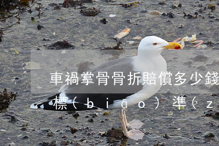 車禍掌骨骨折賠償多少錢(車禍脛骨骨折賠償標(biāo)準(zhǔn))