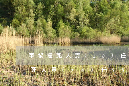 車禍撞死人責(zé)任55開賠多少錢(撞死人責(zé)任55開要坐牢嗎)