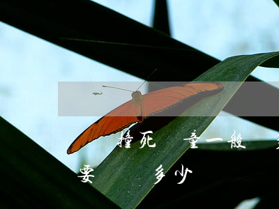 車禍撞死兒童一般賠多少錢(把小孩子撞死了,要賠償多少錢)