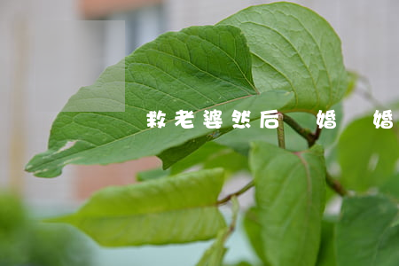 車禍救老婆然后離婚(離婚路上丈夫救人)