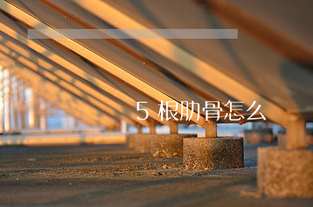 車禍斷5根肋骨怎么賠
