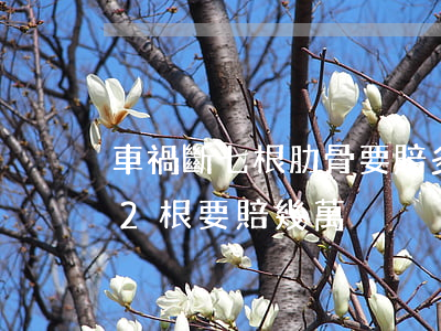 車禍斷七根肋骨要賠多少錢(肋骨車禍撞斷了2根要賠幾萬)