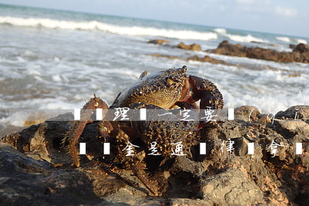 車禍理賠一定要請(qǐng)律師嗎(車禍賠償金是通過律師拿嗎)