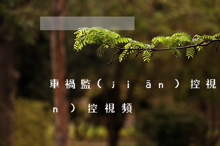 車禍監(jiān)控視頻(車禍監(jiān)控視頻)