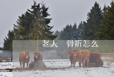 車禍老人傷骨折怎么賠?