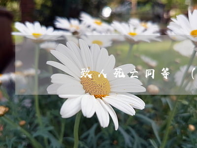 車禍致人死亡同等責(zé)任是什么意思
