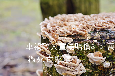 車禍致人重傷賠償35萬(wàn)(遭遇車禍死亡賠償)
