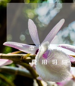 車禍致死一般賠多少錢(車禍致死賠償有哪些費用明細)