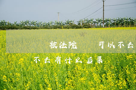 車禍被法院傳喚可以不去嗎(法院傳喚被告人不去有什么后果)
