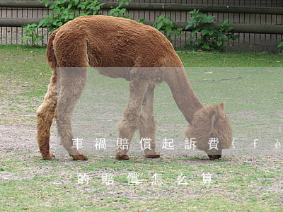 車禍賠償起訴費(fèi)用如何計算，車禍的賠償怎么算