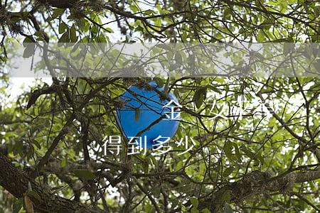車禍賠償金兒女平等嗎(兒子出了車禍父母應該得到多少賠償)