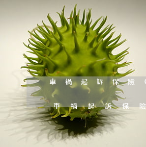 車禍起訴保險(xiǎn)公司流程怎么走(車禍起訴保險(xiǎn)公司流程怎么走)