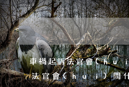 車禍起訴法官會(huì)問什么(車禍起訴法官會(huì)問什么)