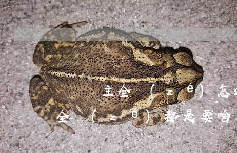 車禍車主全責(zé)怎么賠償(車禍肇事者全責(zé)都是要啥賠償)