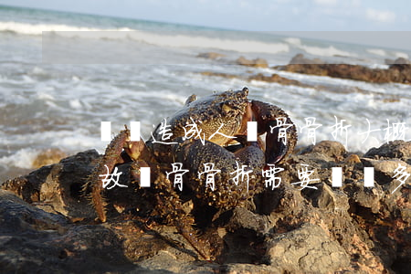 車禍造成人鎖骨骨折大概要賠多少錢(交通事故鎖骨骨折需要賠償多少錢(2014))