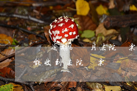 車禍逾期6個月法院傳票來了(車禍起訴多久能收到法院傳票)